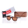 Сонцезахисні окуляри Ray Ban Wayfarer (Вайфаери) 2140p954