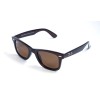 Ray Ban Wayfarer 2140-901p-br